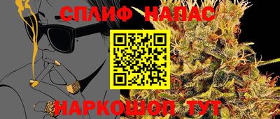 прущие грибы Краснознаменск