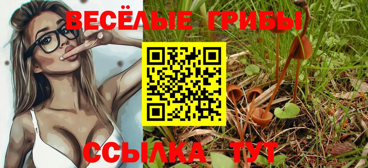 Югорск  Галлюциногенные грибы GOLDEN TEACHER  Вход с VPN 
